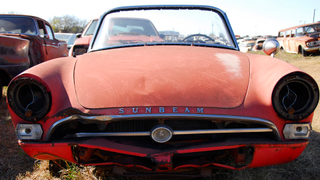 A southern Sunbeam